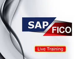 SAP Fico Institute in Delhi